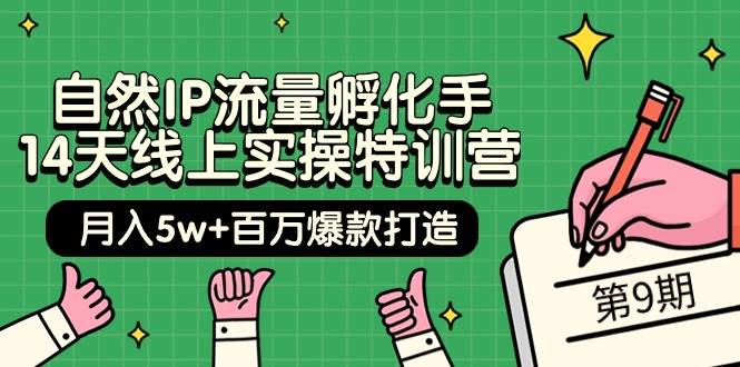 自然IP流量孵化手 14天线上实操特训营【第9期】月入5w+百万爆款打造 (74节)-六道网创