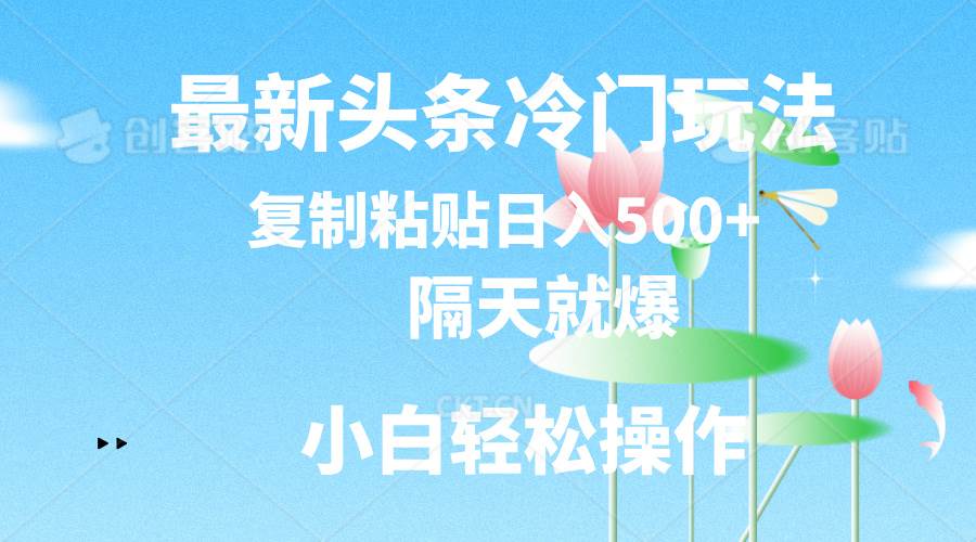 最新头条冷门玩法，隔天就爆，复制粘贴日入500+-六道网创