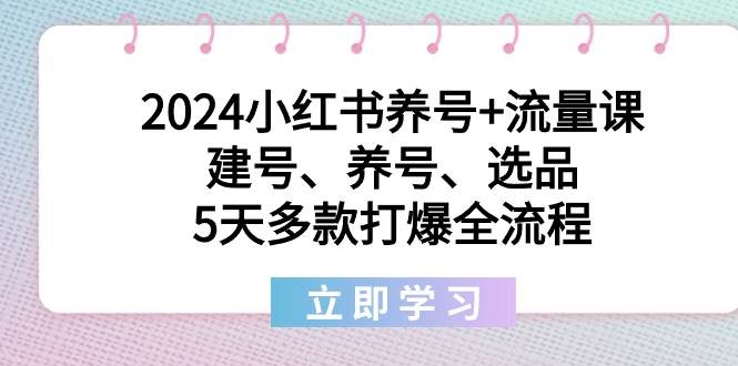 2024小红书养号+流量课：建号、养号、选品，5天多款打爆全流程-六道网创