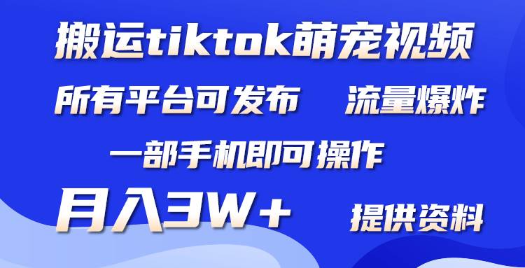 搬运Tiktok萌宠类视频，一部手机即可。所有短视频平台均可操作，月入3W+-六道网创