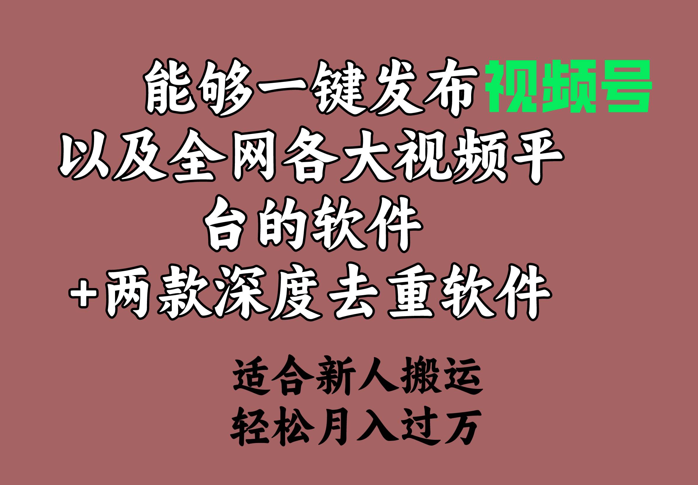 能够一键发布视频号以及全网各大视频平台的软件+两款深度去重软件 适合…-六道网创