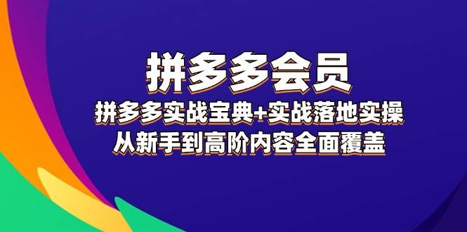 拼多多 会员，拼多多实战宝典+实战落地实操，从新手到高阶内容全面覆盖-六道网创