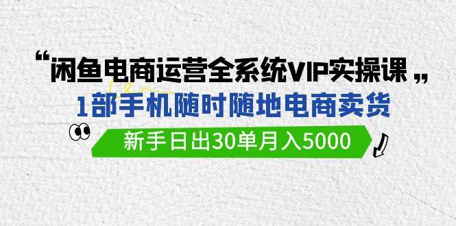 闲鱼电商运营全系统VIP实战课，1部手机随时随地卖货，新手日出30单月入5000-六道网创