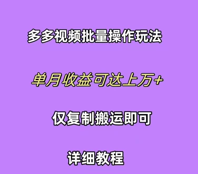 拼多多视频带货快速过爆款选品教程 每天轻轻松松赚取三位数佣金 小白必…-六道网创