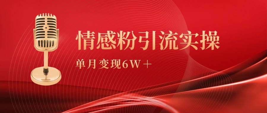 单月变现6w+，情感粉引流变现实操课-六道网创