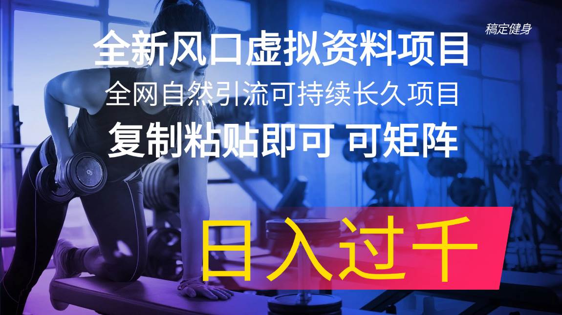 全新风口虚拟资料项目 全网自然引流可持续长久项目 复制粘贴即可可矩阵…-六道网创