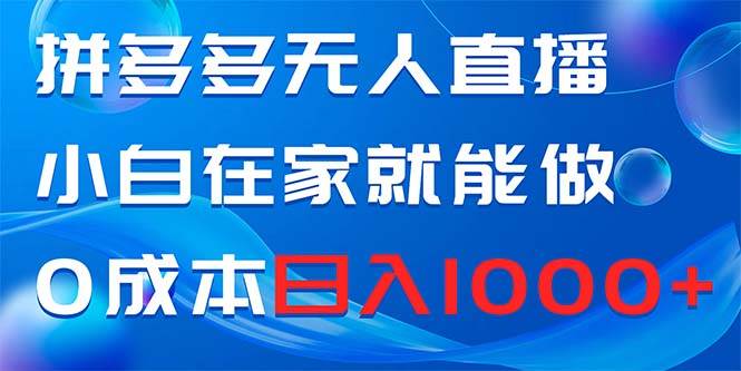 拼多多无人直播，小白在家就能做，0成本日入1000+-六道网创