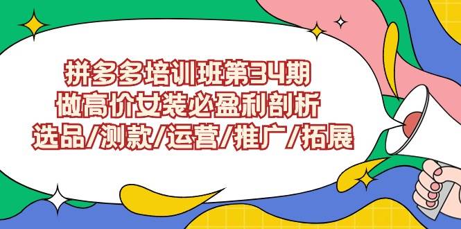 拼多多培训班第34期：做高价女装必盈利剖析  选品/测款/运营/推广/拓展-六道网创