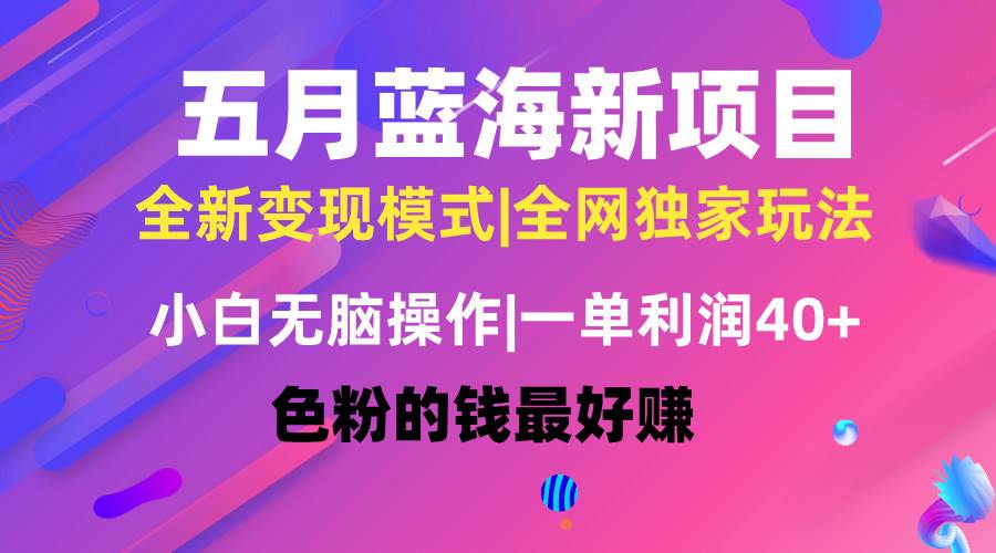 五月蓝海项目全新玩法，小白无脑操作，一天几分钟，矩阵操作，月入4万+-六道网创