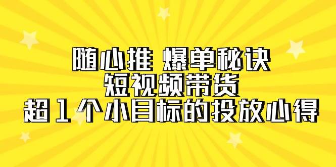 随心推 爆单秘诀，短视频带货-超1个小目标的投放心得（7节视频课）-六道网创