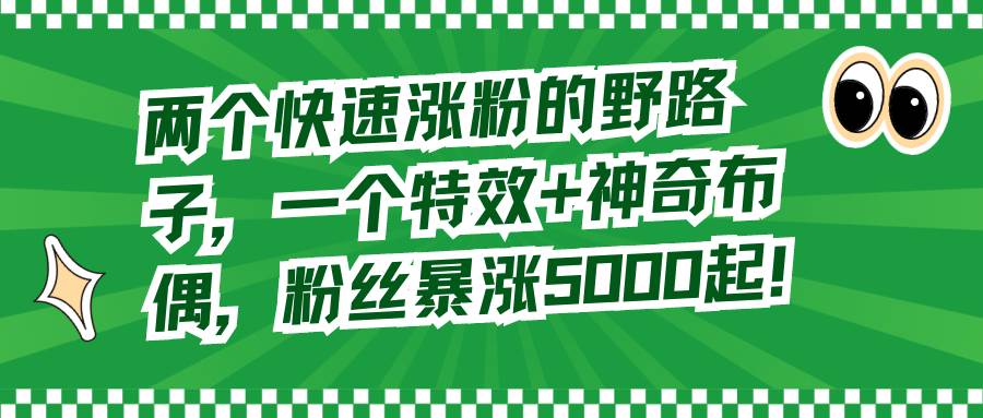 两个快速涨粉的野路子，一个特效+神奇布偶，粉丝暴涨5000起！-六道网创