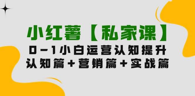 小红薯【私家课】0-1玩赚小红书内容营销，认知篇+营销篇+实战篇（11节课）-六道网创