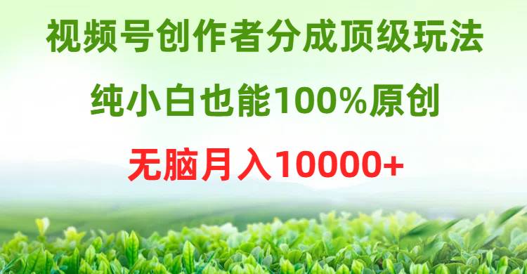 视频号创作者分成顶级玩法，纯小白也能100%原创，无脑月入10000+-六道网创