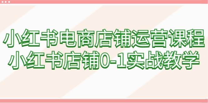 小红书电商店铺运营课程，小红书店铺0-1实战教学（60节课）-六道网创