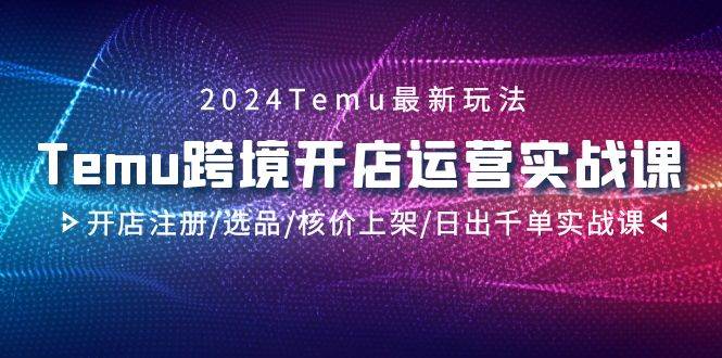 2024Temu跨境开店运营实战课，开店注册/选品/核价上架/日出千单实战课-六道网创