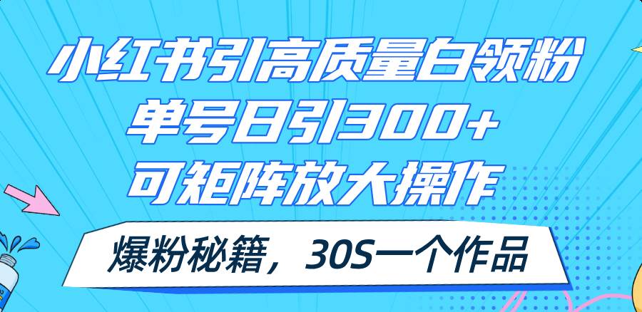 小红书引高质量白领粉，单号日引300+，可放大操作，爆粉秘籍！30s一个作品-六道网创