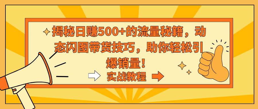 揭秘日赚500+的流量秘籍，动态闪图带货技巧，助你轻松引爆销量！-六道网创