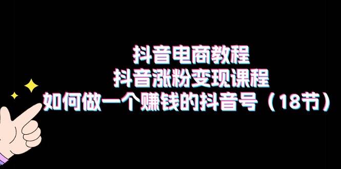 抖音电商教程：抖音涨粉变现课程：如何做一个赚钱的抖音号（18节）-六道网创