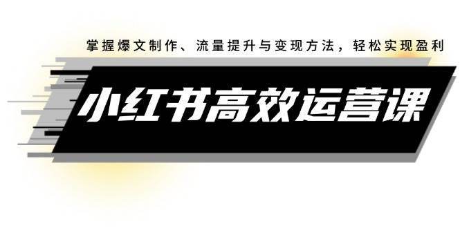 小红书高效运营课：掌握爆文制作、流量提升与变现方法，轻松实现盈利-六道网创