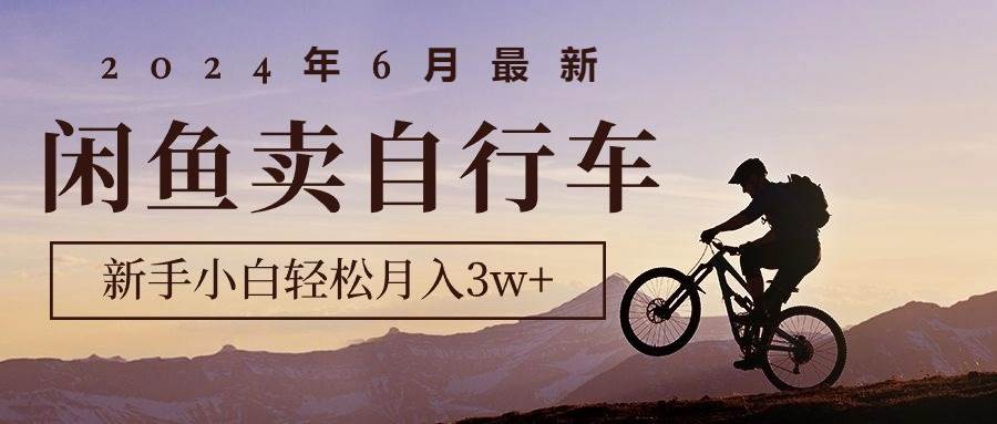 2024年6月最新闲鱼卖自行车，新手小白轻松月入3w+项目-六道网创