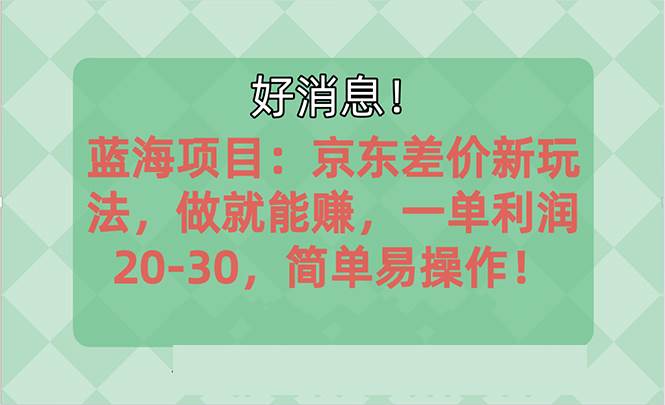 越早知道越能赚到钱的蓝海项目：京东大平台操作，一单利润20-30，简单…-六道网创